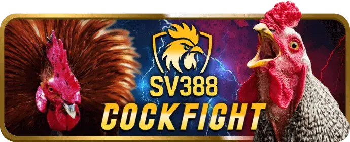 Đá gà trên ứng dụng FB88SG